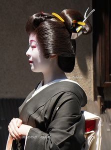 DSC01174 (3).JPG