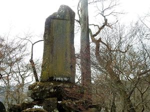 DSCN3285.JPG