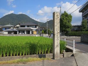 sanuki.jpg